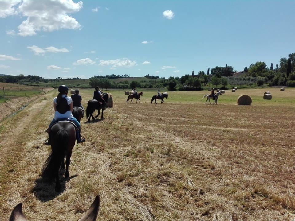 Agriturismo Fattoria Rozzalupi Cerreto Guidi Εξωτερικό φωτογραφία