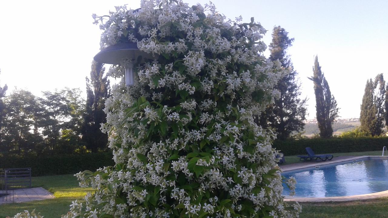 Agriturismo Fattoria Rozzalupi Cerreto Guidi Εξωτερικό φωτογραφία